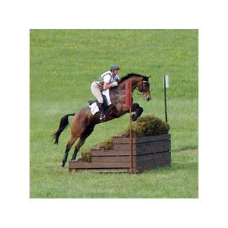 SPIRIT Shod by David Hallock APF CJF ASF, Dansville, MI